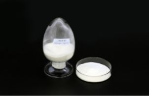 Chondroitin Sulfate